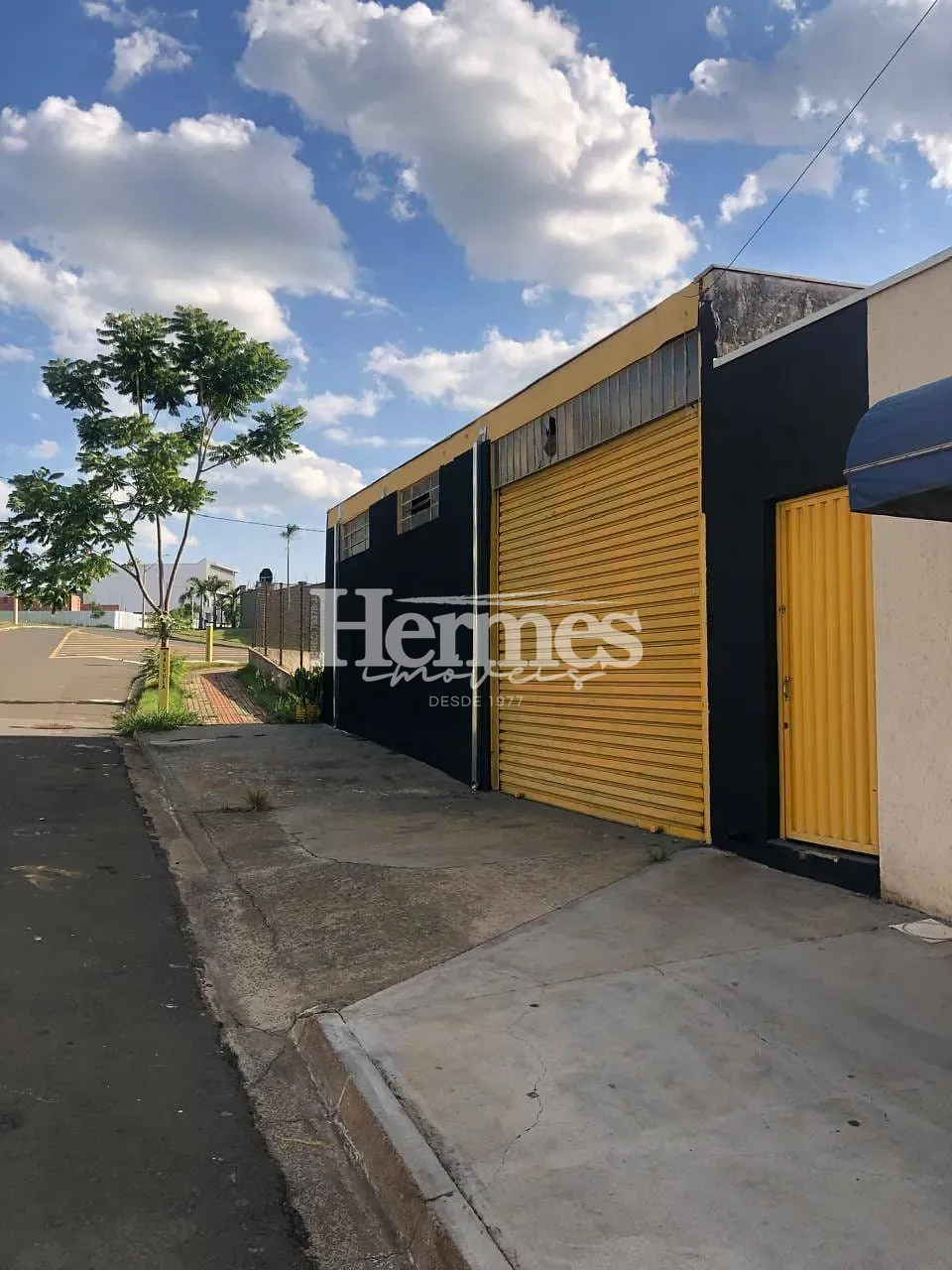 Casa, 4 quartos, 252 m² - Foto 38
