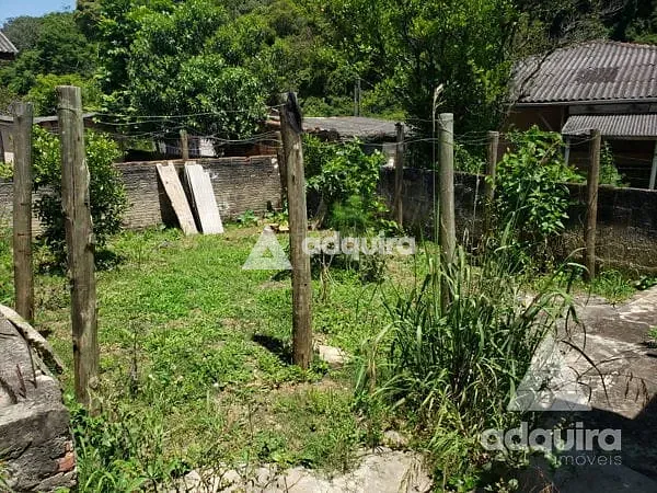 Casa, 4 quartos, 256 m² - Foto 11