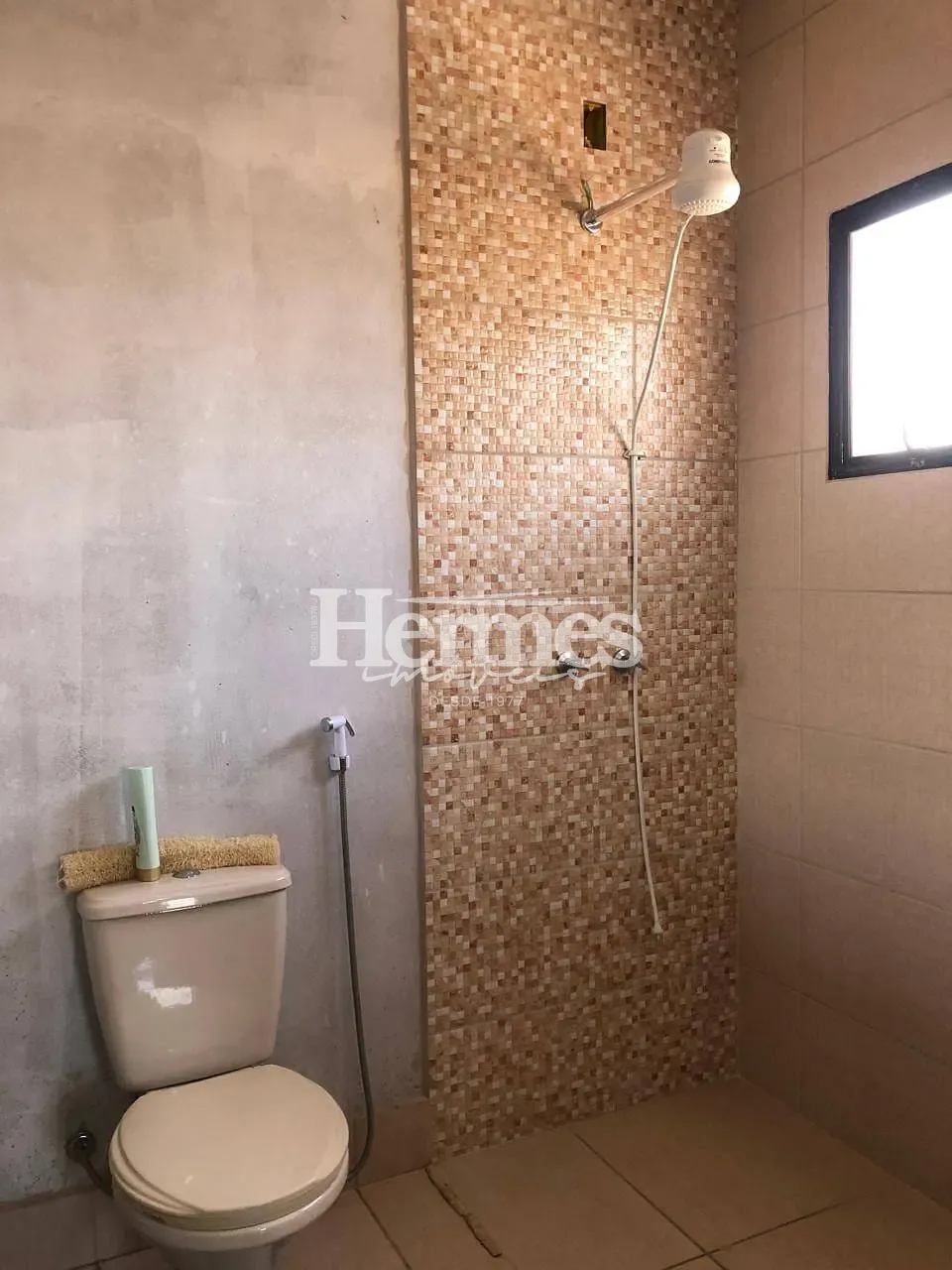 Casa, 5 quartos, 302 m² - Foto 12