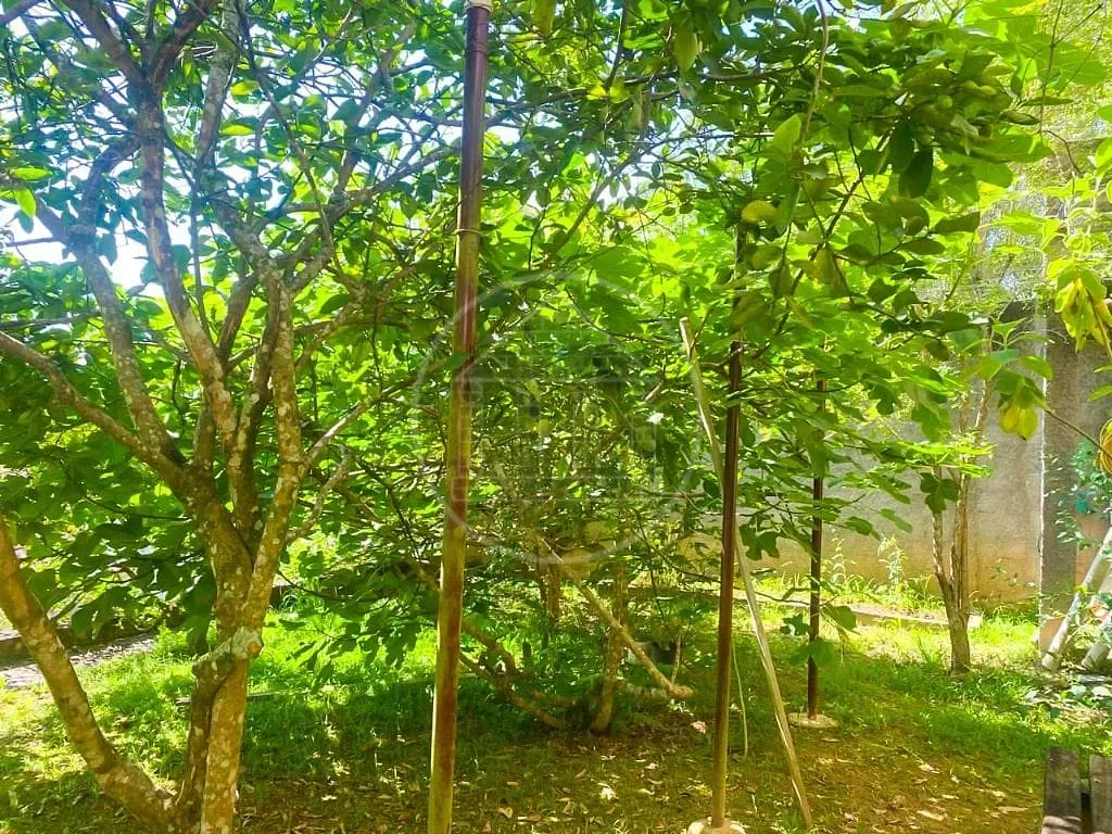 Casa, 2 quartos, 120 m² - Foto 21