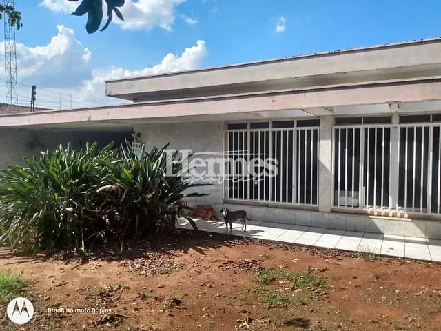 Casa com 880m² 3 quartos e 3 banheiros, à venda, no bairro Centro em Cosmópolis