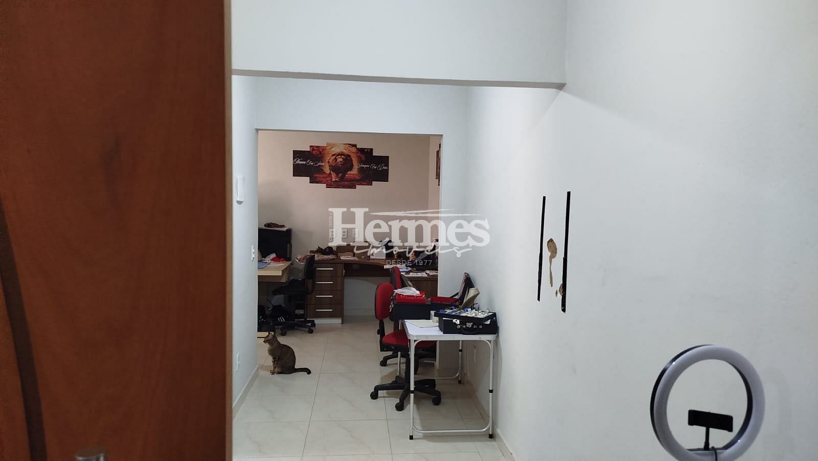 Casa, 3 quartos, 219 m² - Foto 30