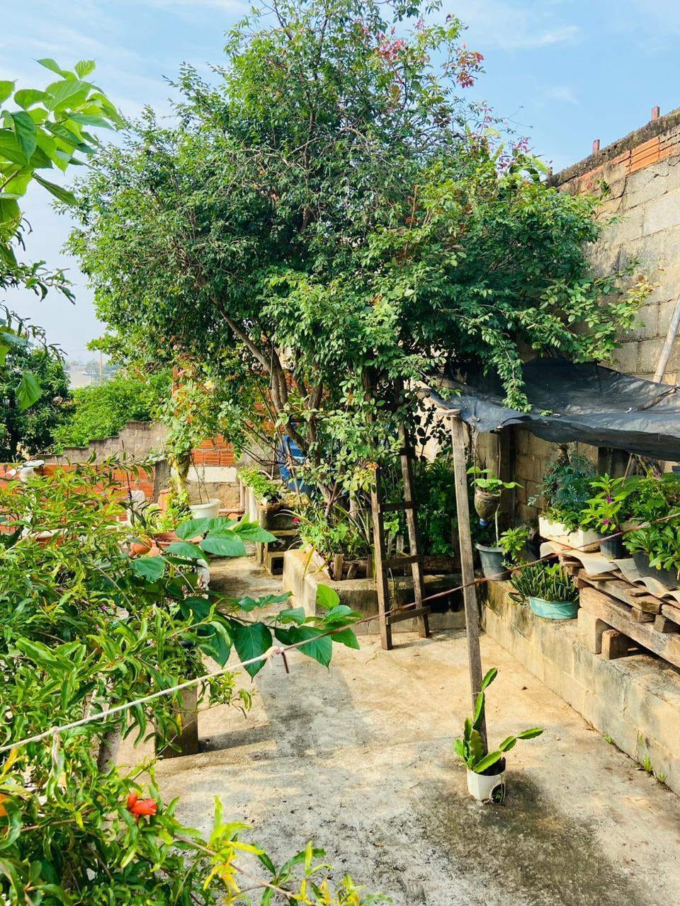 Casa, 3 quartos, 234 m² - Foto 38