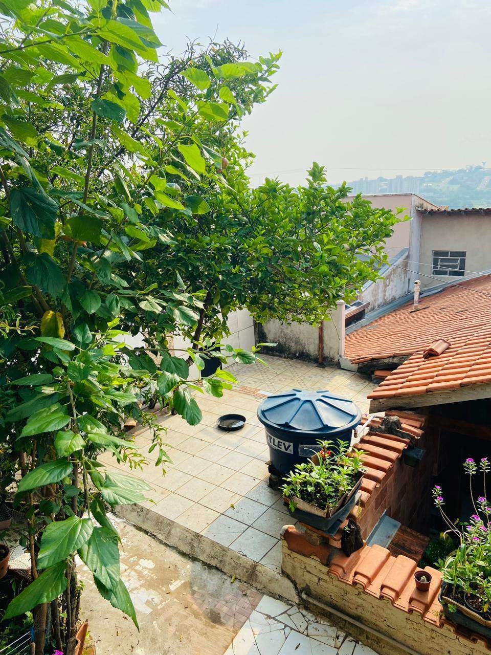 Casa, 3 quartos, 234 m² - Foto 39