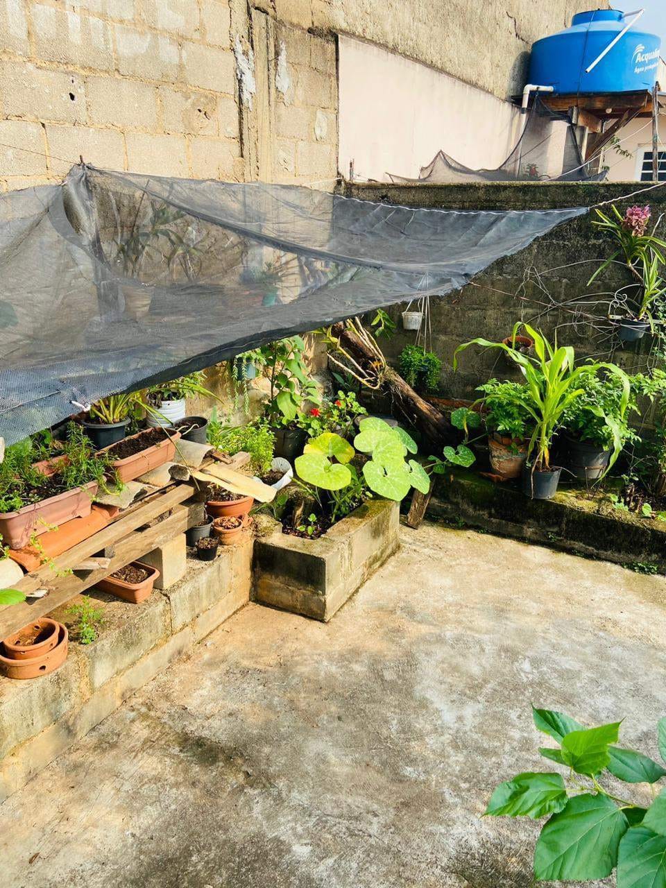 Casa, 3 quartos, 234 m² - Foto 40