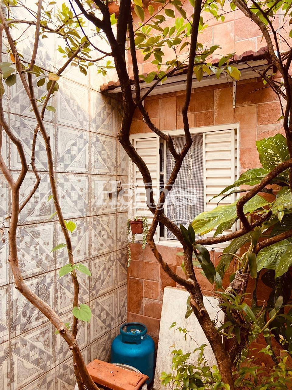 Casa, 3 quartos, 234 m² - Foto 36