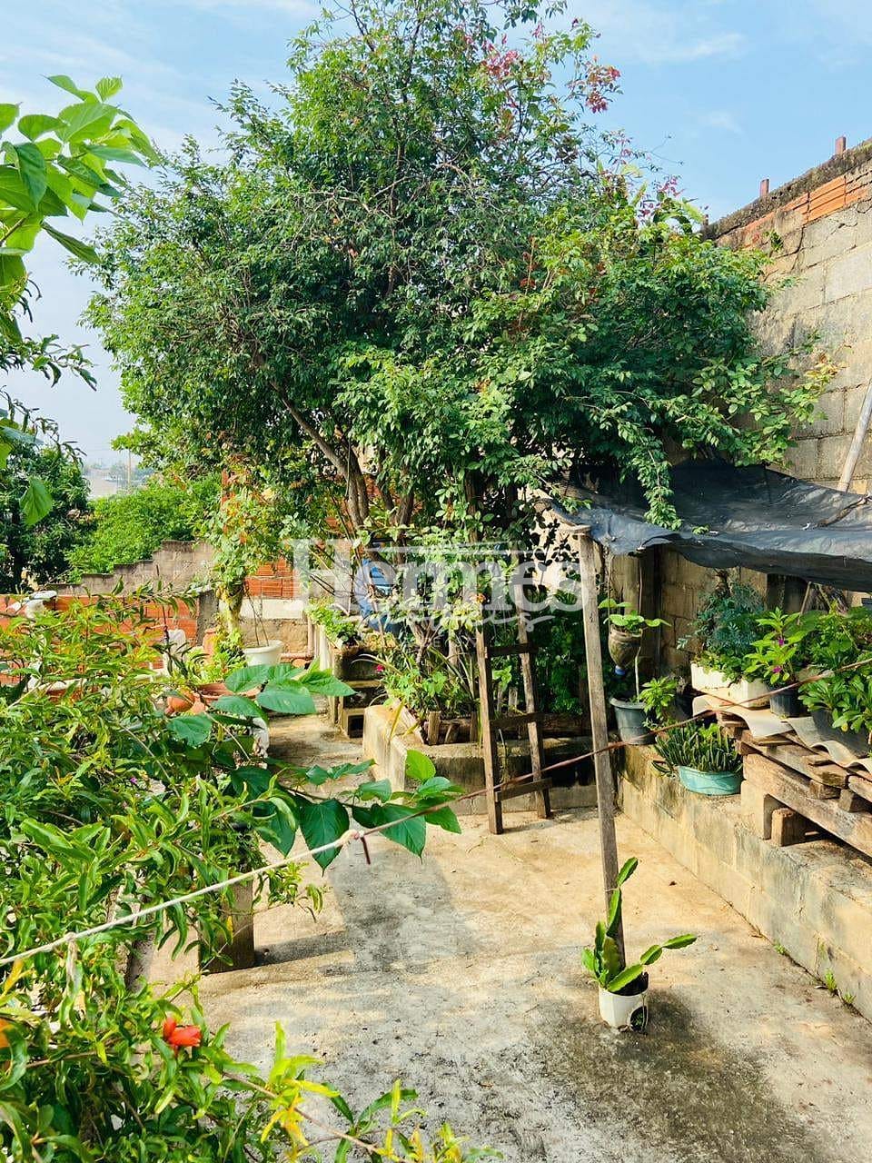 Casa, 3 quartos, 234 m² - Foto 38