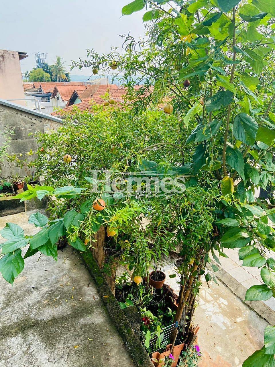 Casa, 3 quartos, 234 m² - Foto 41