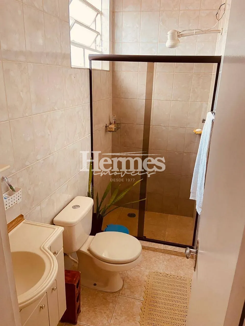 Casa, 3 quartos, 234 m² - Foto 12