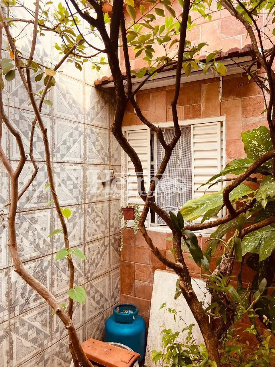 Casa, 3 quartos, 234 m² - Foto 36