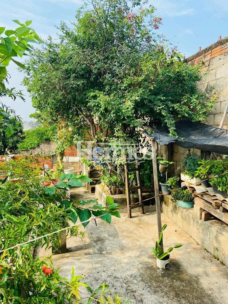 Casa, 3 quartos, 234 m² - Foto 38