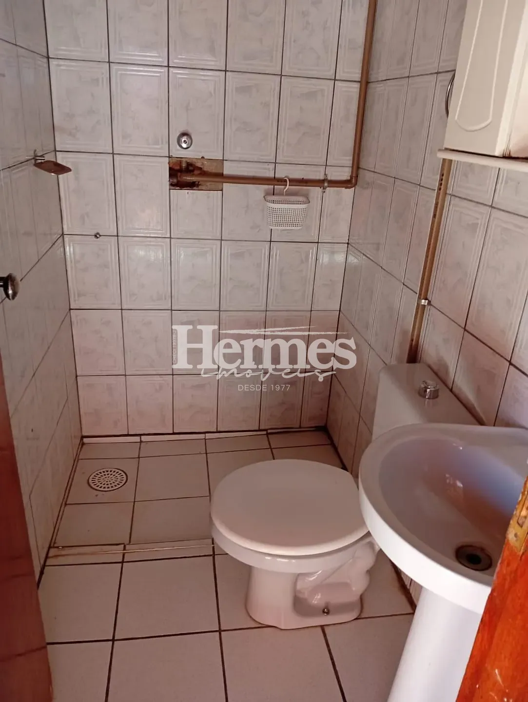Casa, 4 quartos, 189 m² - Foto 4