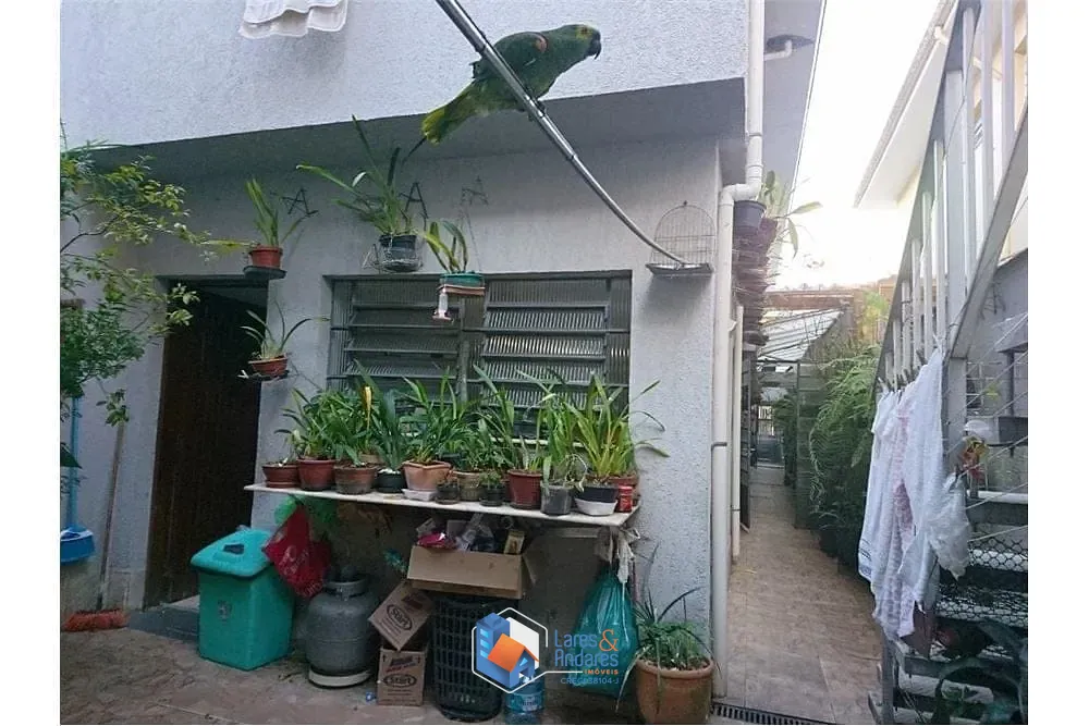 Casa, 4 quartos, 200 m² - Foto 5