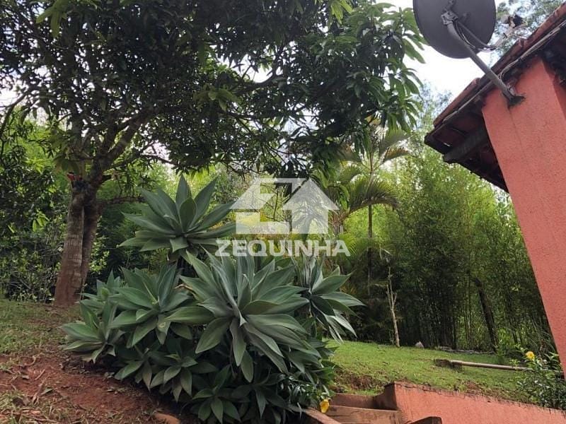 Casa, 3 quartos, 450 m² - Foto 11