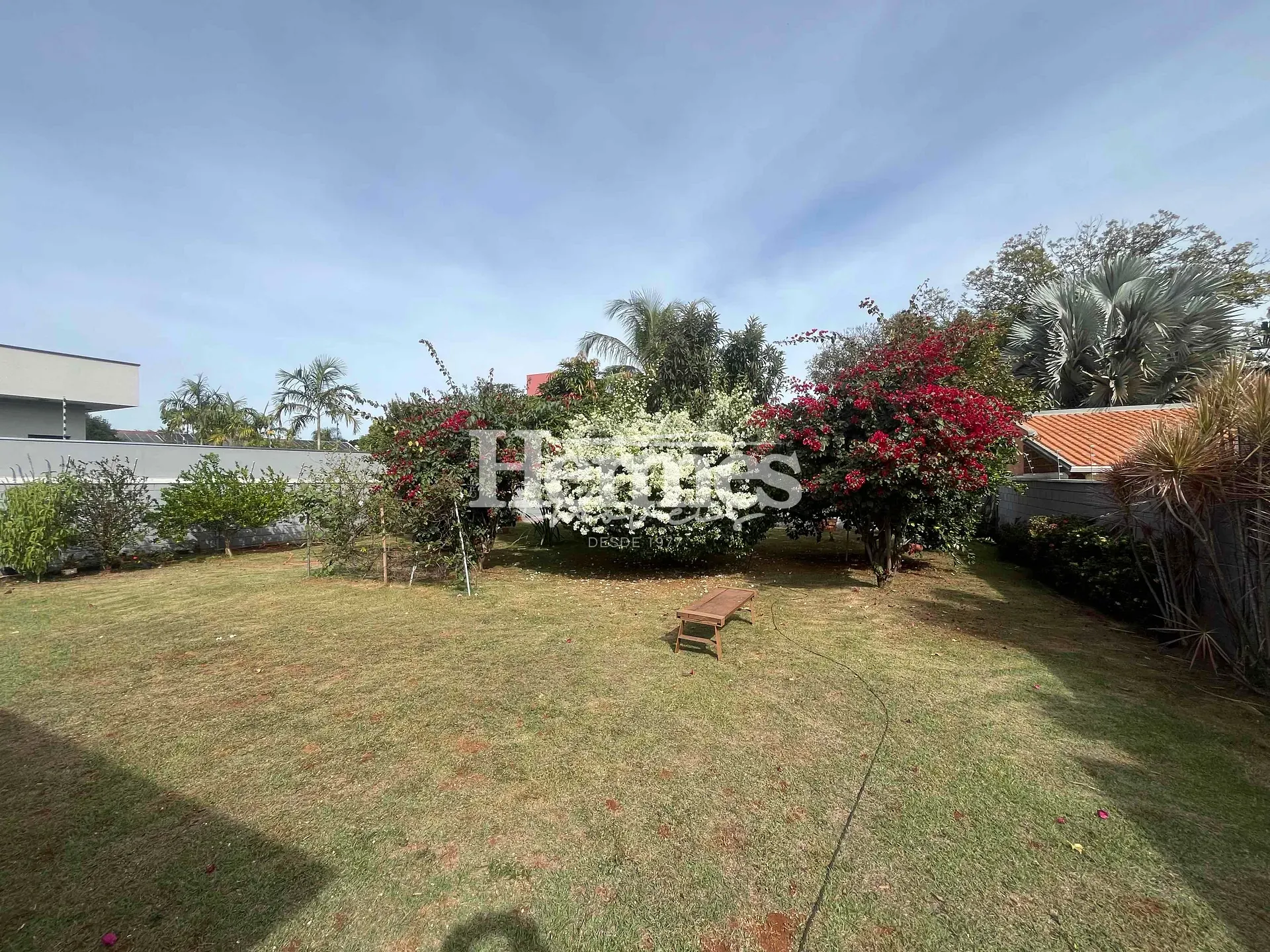 Casa, 3 quartos, 350 m² - Foto 4