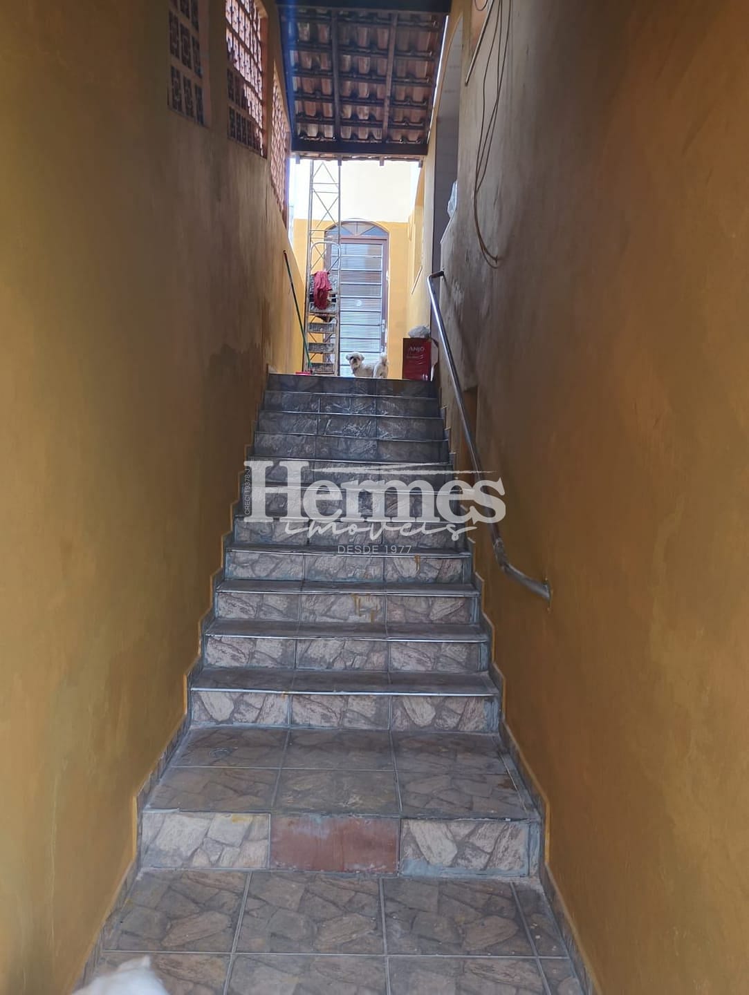 Casa, 4 quartos, 176 m² - Foto 18