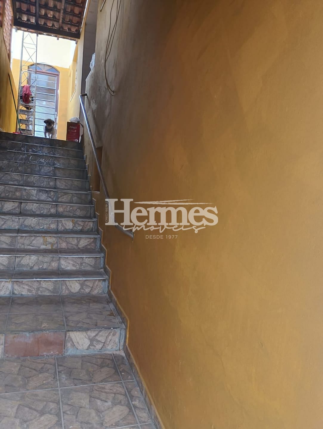 Casa, 4 quartos, 176 m² - Foto 19