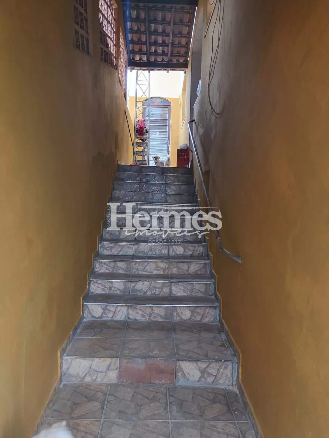 Casa, 4 quartos, 176 m² - Foto 18