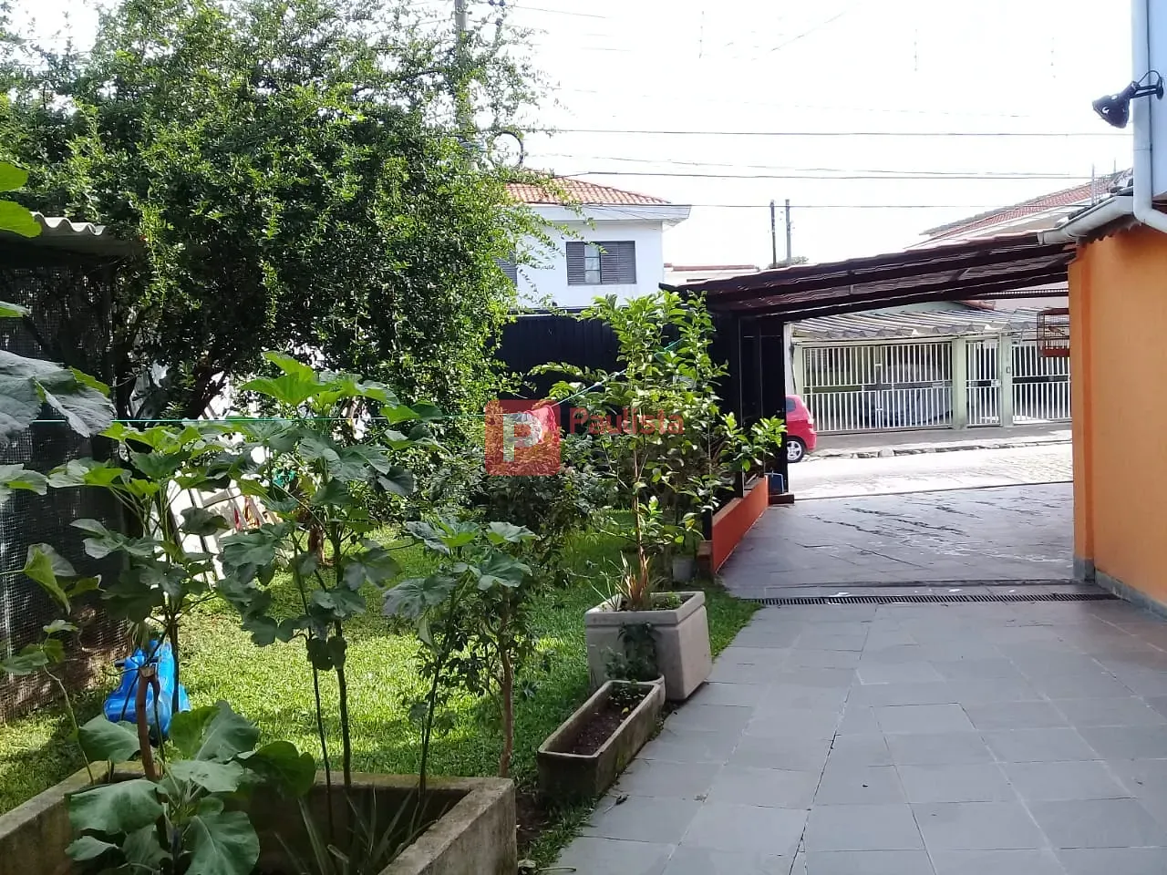 Foto 7