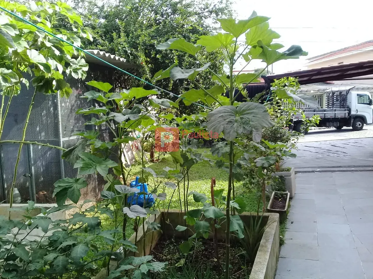 Foto 12