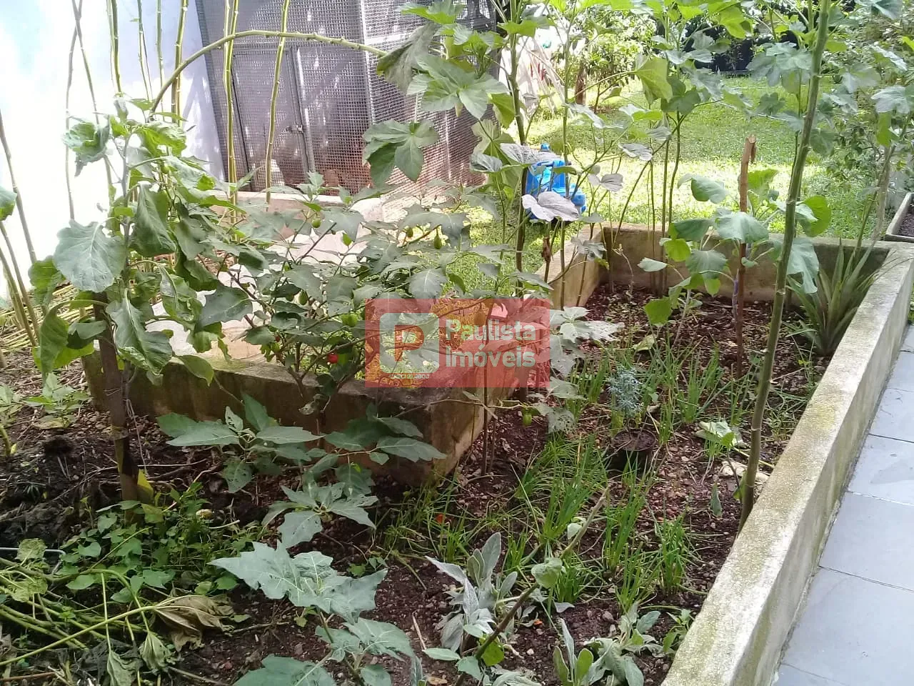 Foto 10
