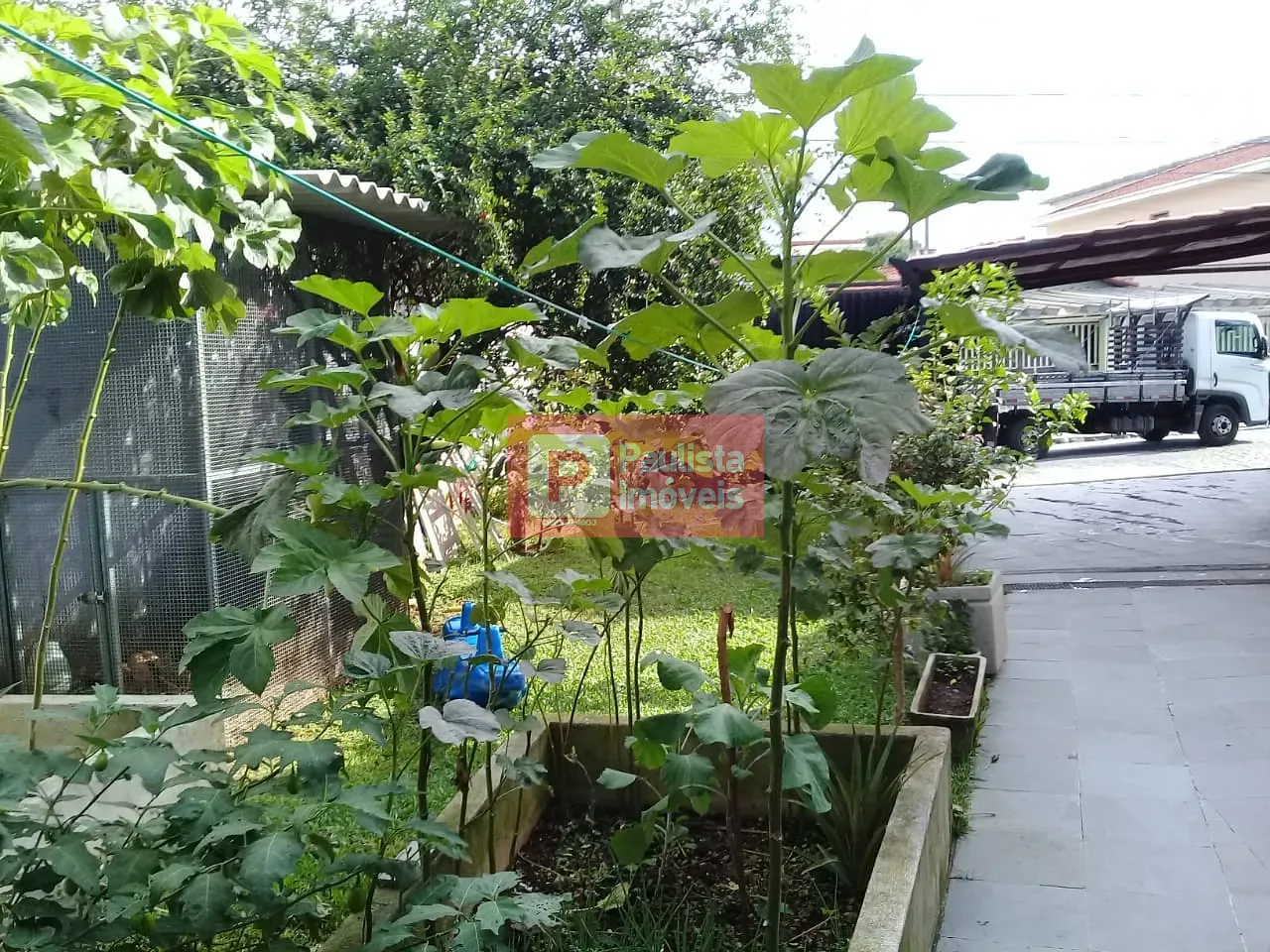Foto 12