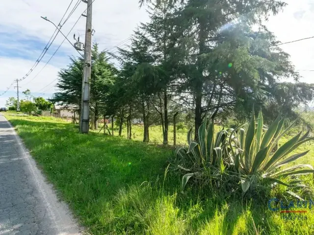 Casa à venda, no bairro BALSA NOVA em Balsa Nova