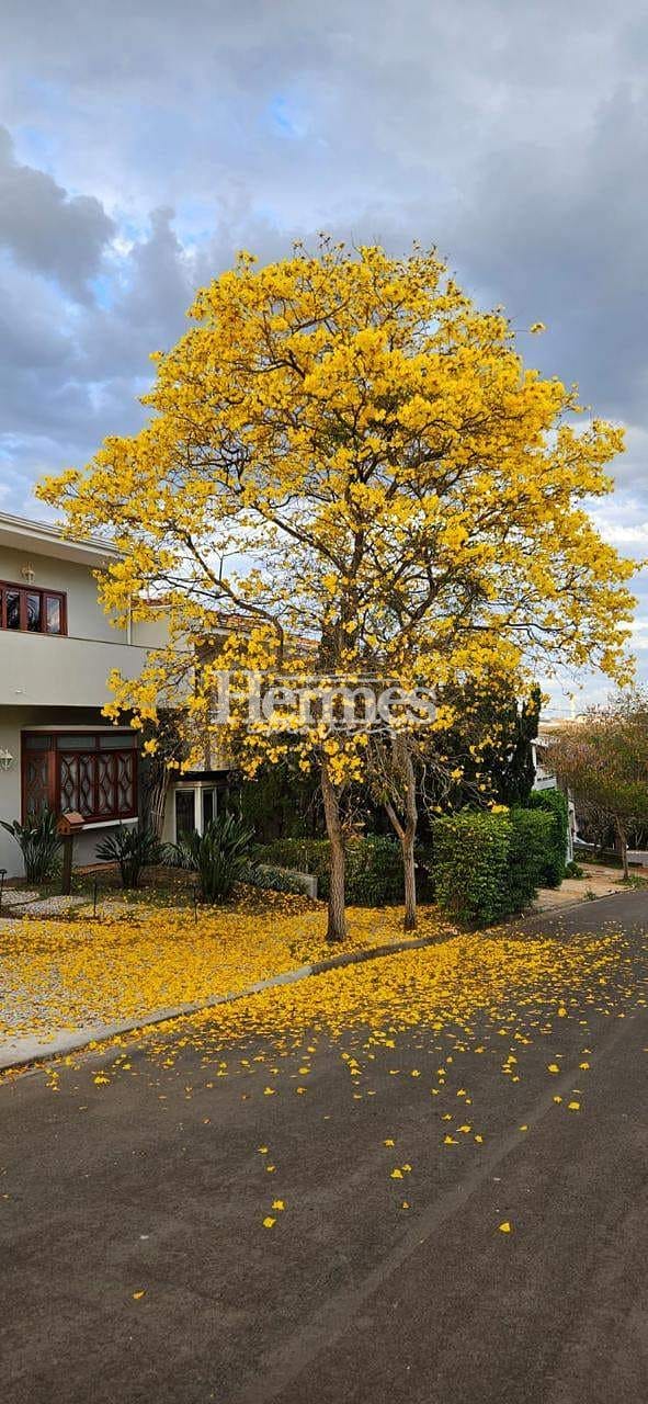 Casa, 4 quartos, 294 m² - Foto 1