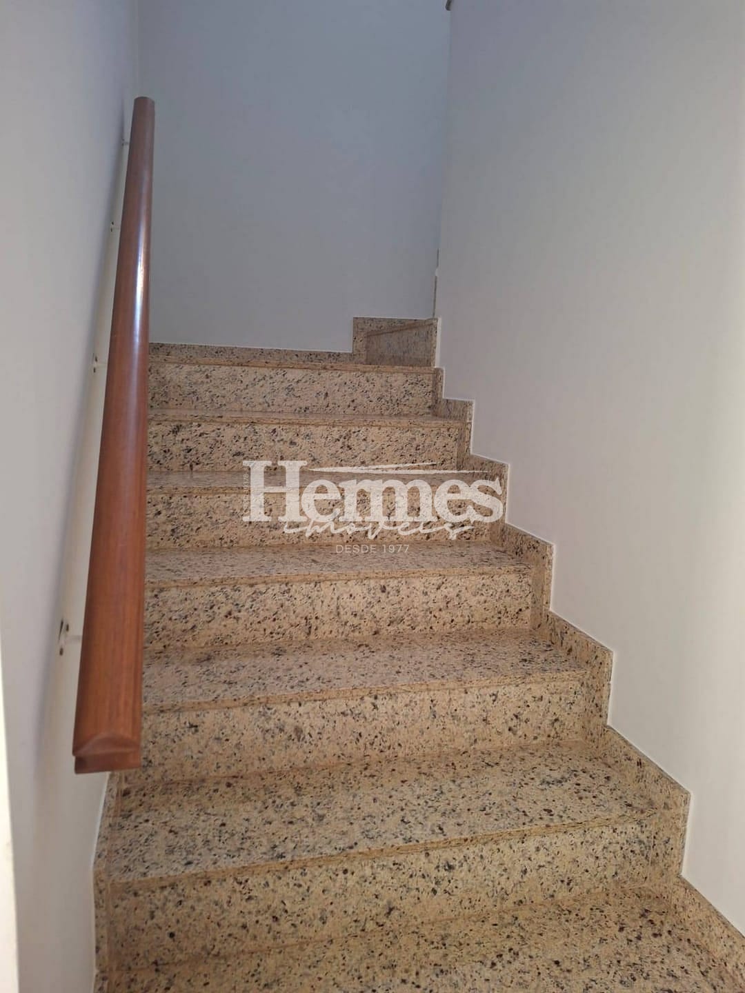 Casa, 4 quartos, 294 m² - Foto 5