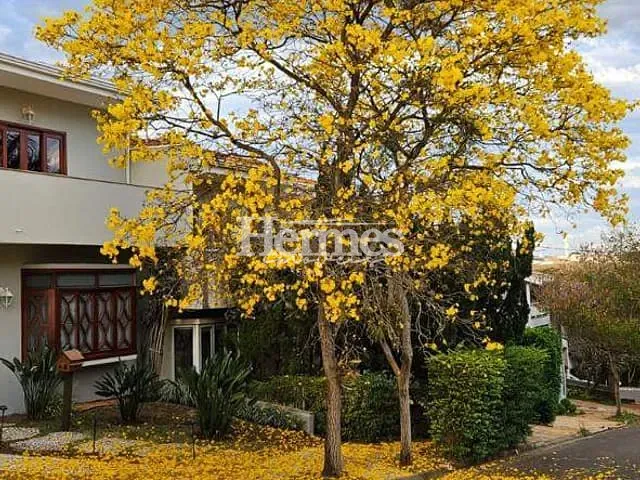 Casa com 300m² 4 quartos e 6 banheiros, à venda, no bairro Betel em Paulínia