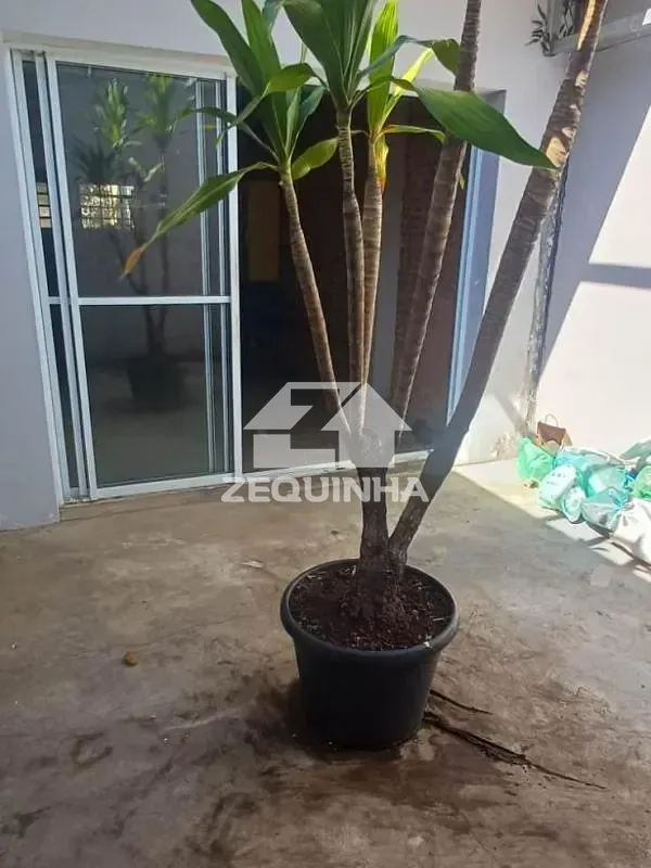 Casa, 2 quartos, 140 m² - Foto 14