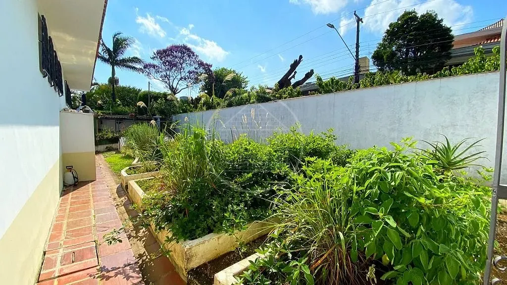Casa, 5 quartos, 520 m² - Foto 18