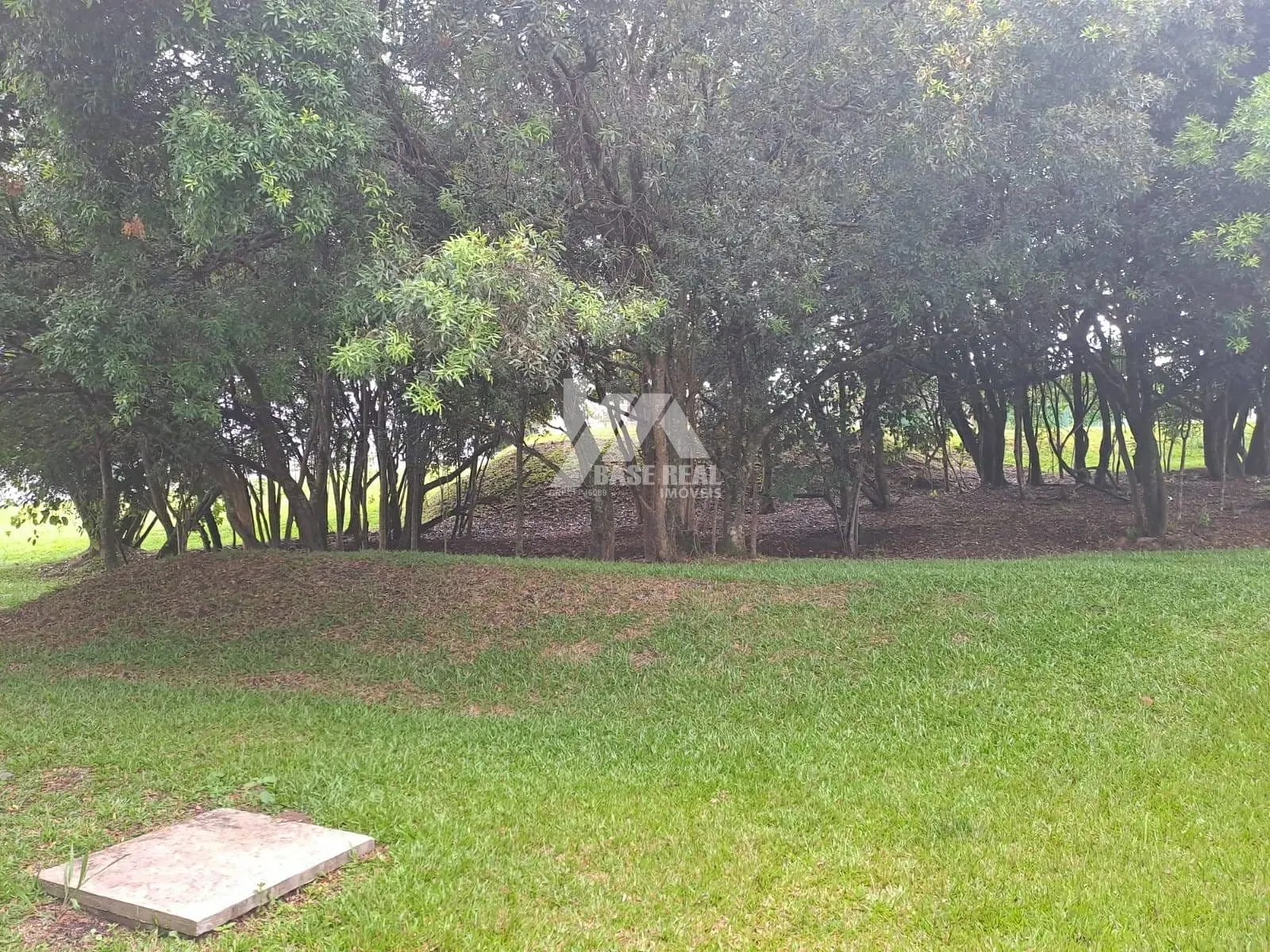 Miniatura 30