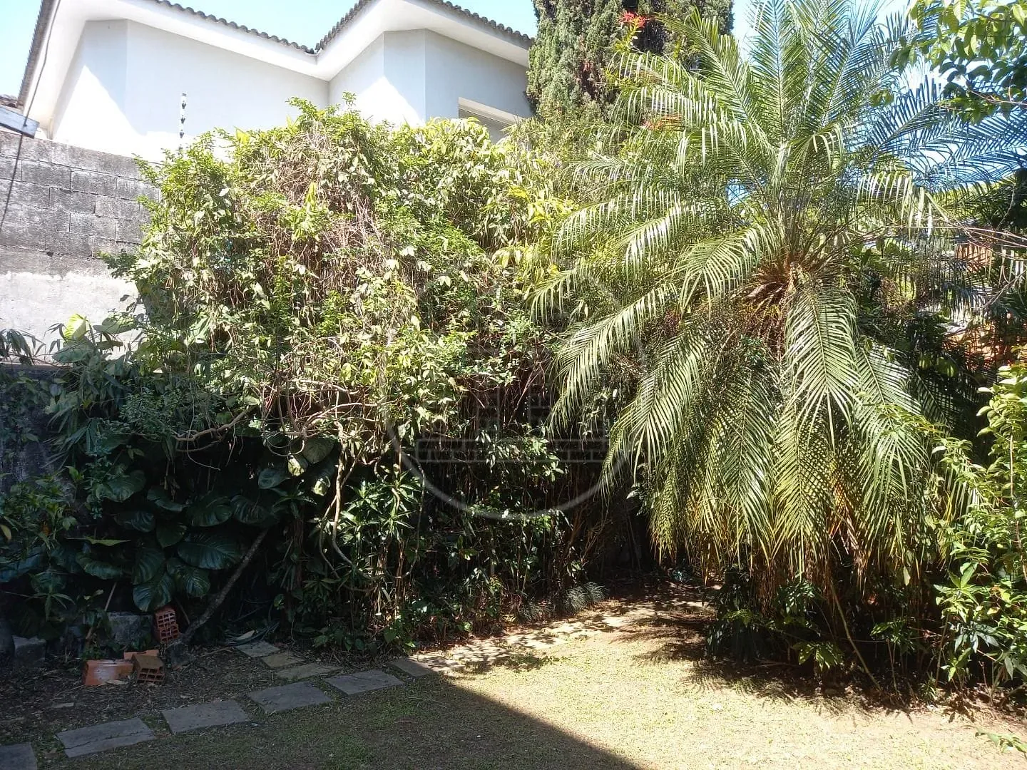 Casa, 4 quartos, 231 m² - Foto 24