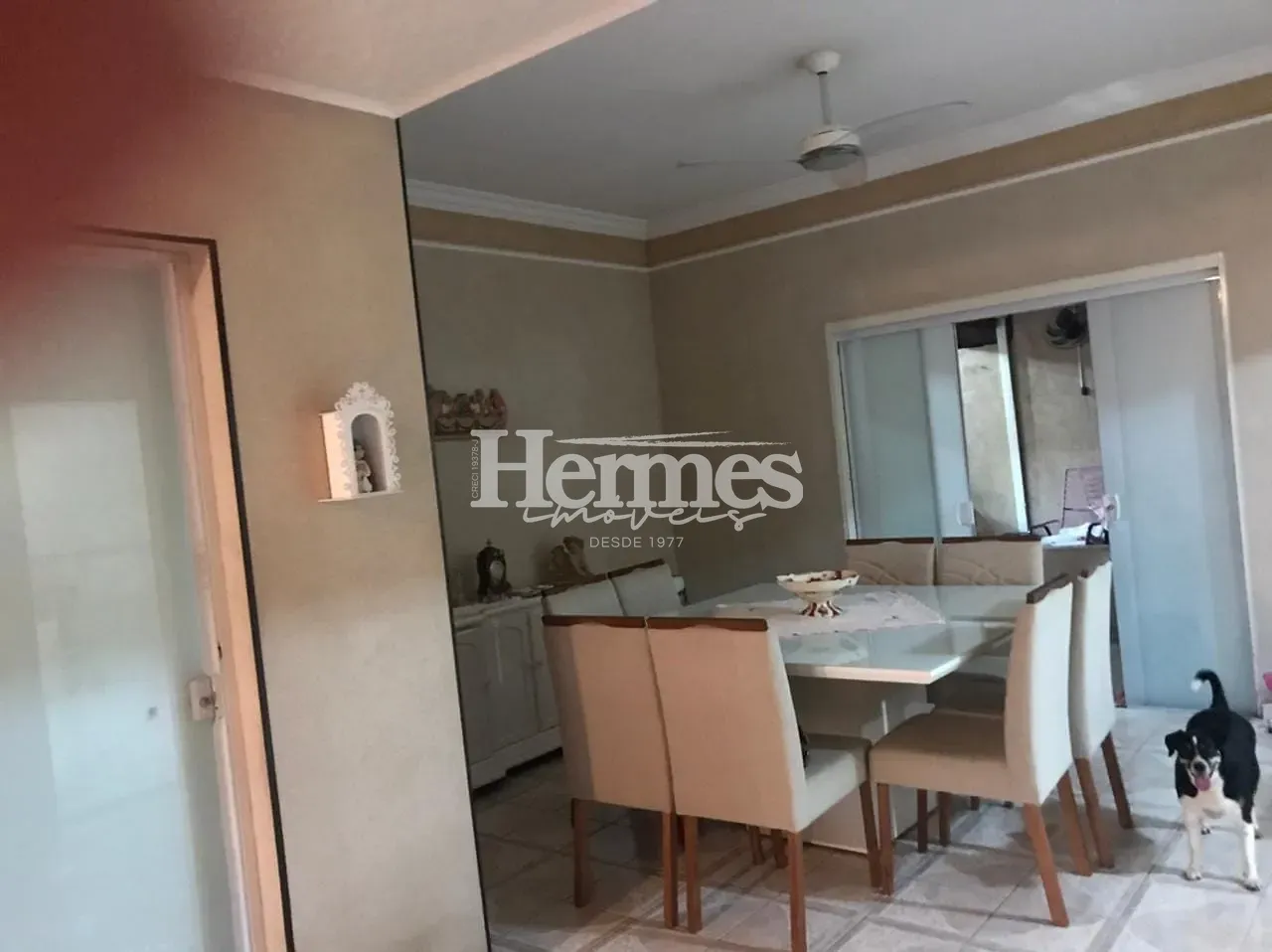 Casa, 3 quartos, 238 m² - Foto 6