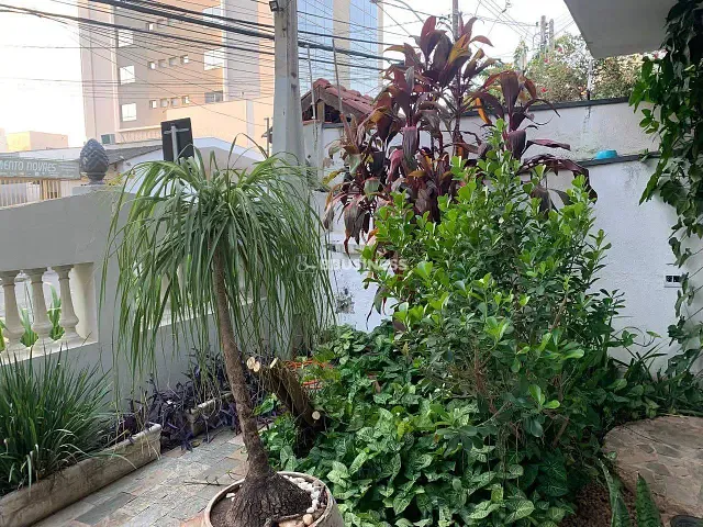 Casa 3 quartos e 2 banheiros, à venda, no bairro Jardim Planalto em Campinas