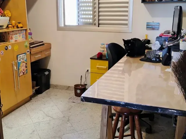 Apartamento com 405m² 3 quartos e 2 banheiros, à venda, no bairro Osvaldo Cruz em São Caetano do Sul
