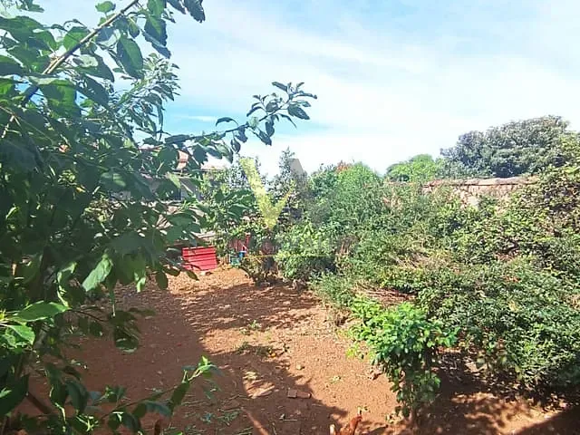 Casa com 300m² 3 quartos e 2 banheiros, à venda, no bairro Jardim Alexandrina em Anápolis