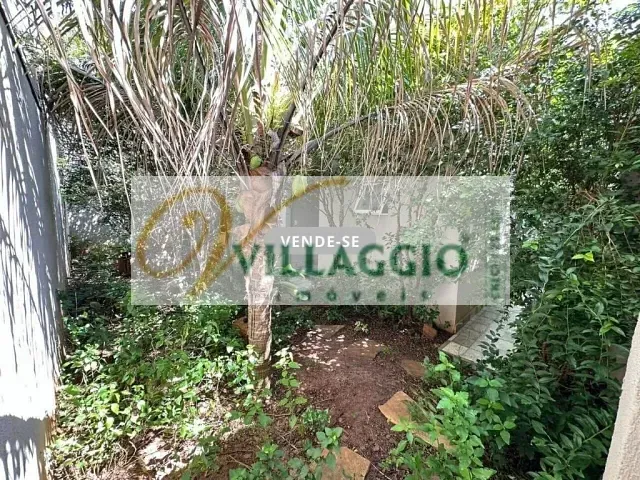 Casa com 208m² 3 quartos e 1 banheiro, à venda, no bairro Setparque Avenida 2 em São José do Rio Preto