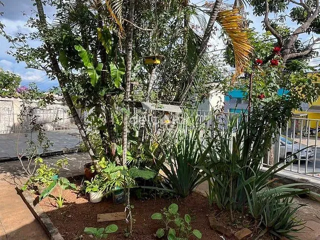 Casa com 360m² 3 quartos e 1 banheiro, para alugar, no bairro Santa Mônica em Belo Horizonte