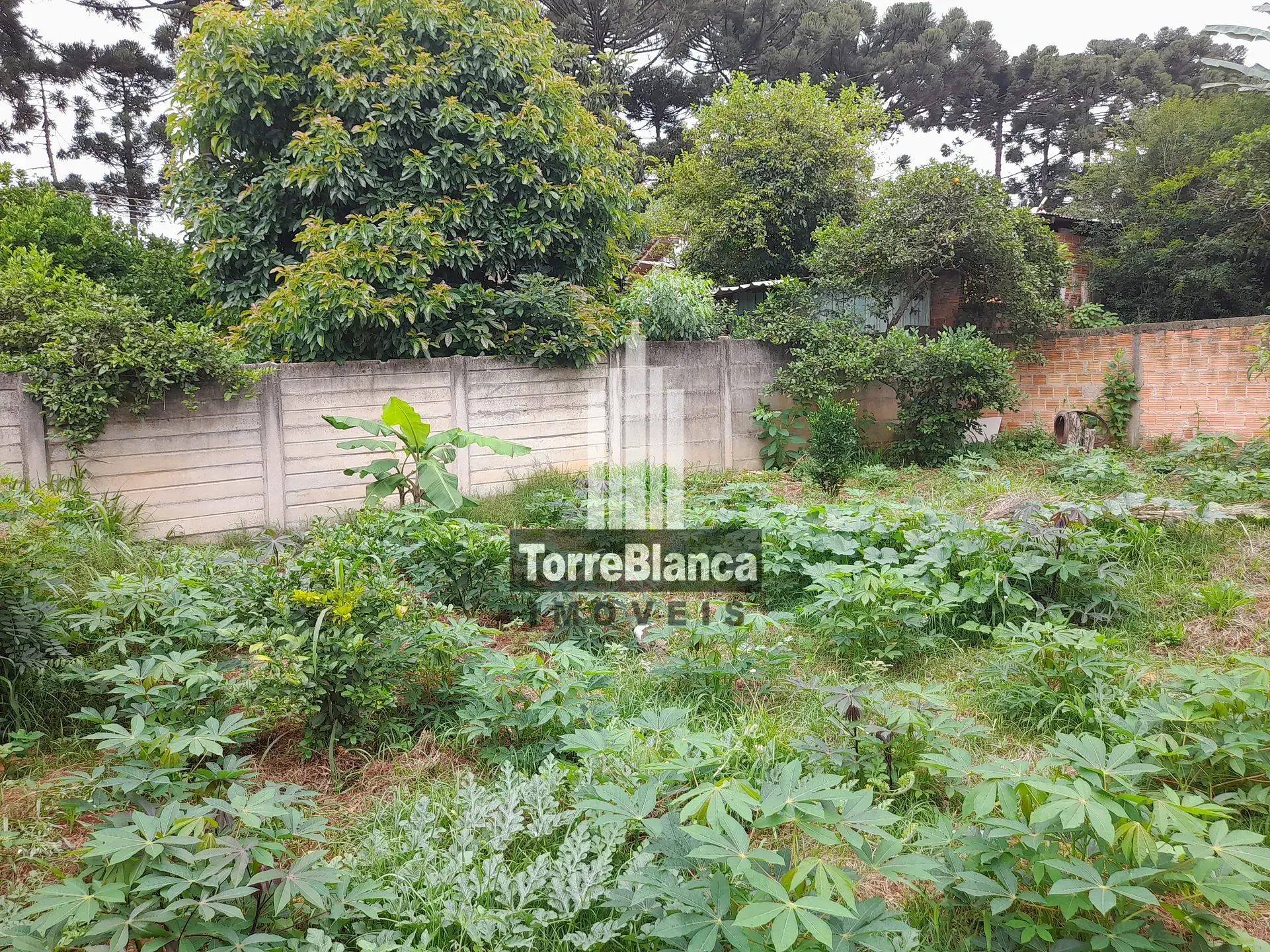 Casa, 3 quartos, 120 m² - Foto 16