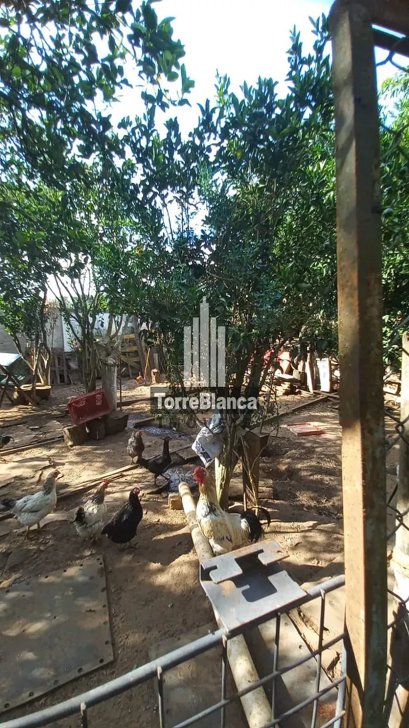 Chácara, 5 quartos, 1000 m² - Foto 25