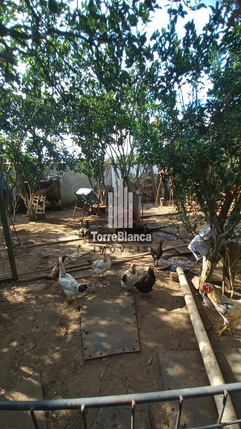 Chácara, 5 quartos, 1000 m² - Foto 26