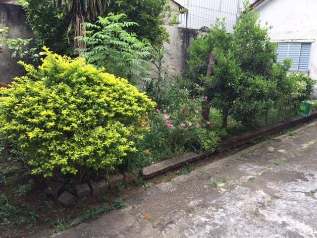Foto do Casa - Casa à venda 3 Quartos, 4 Vagas, 232M², Chácara Santo Antônio (Zona Leste), São Paulo - SP | ZONA LESTE IMÓVEIS