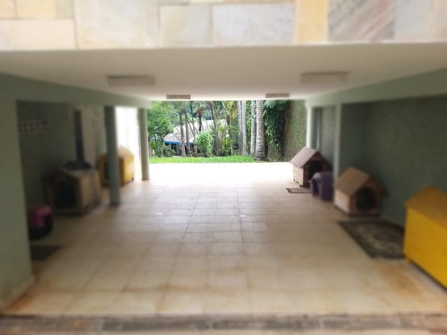 Casa com 1875m² 3 quartos e 4 banheiros, à venda, no bairro Horto Florestal em São Paulo