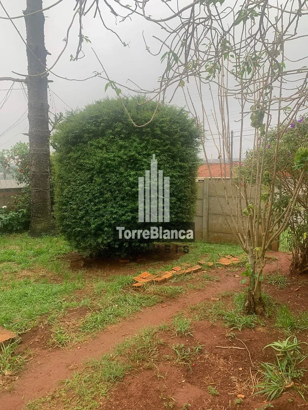 Casa, 2 quartos, 40 m² - Foto 3