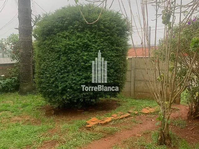 Casa com 300m² 2 quartos e 1 banheiro, à venda, no bairro Neves em Ponta Grossa