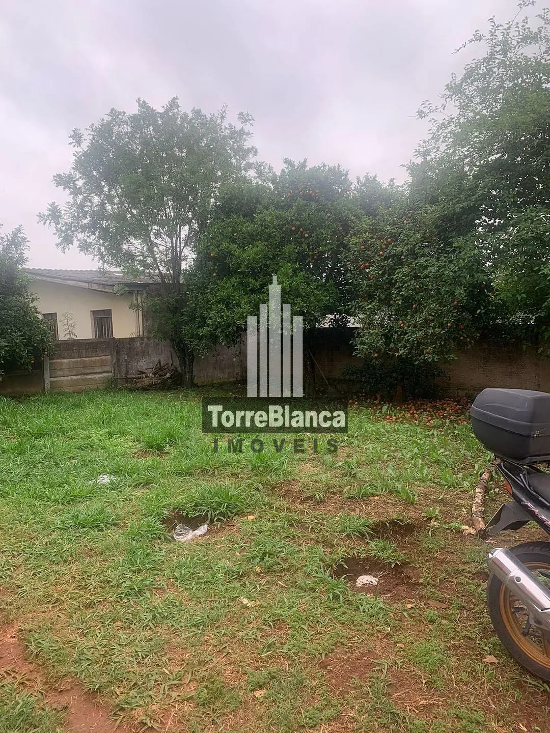 Casa, 2 quartos, 40 m² - Foto 6