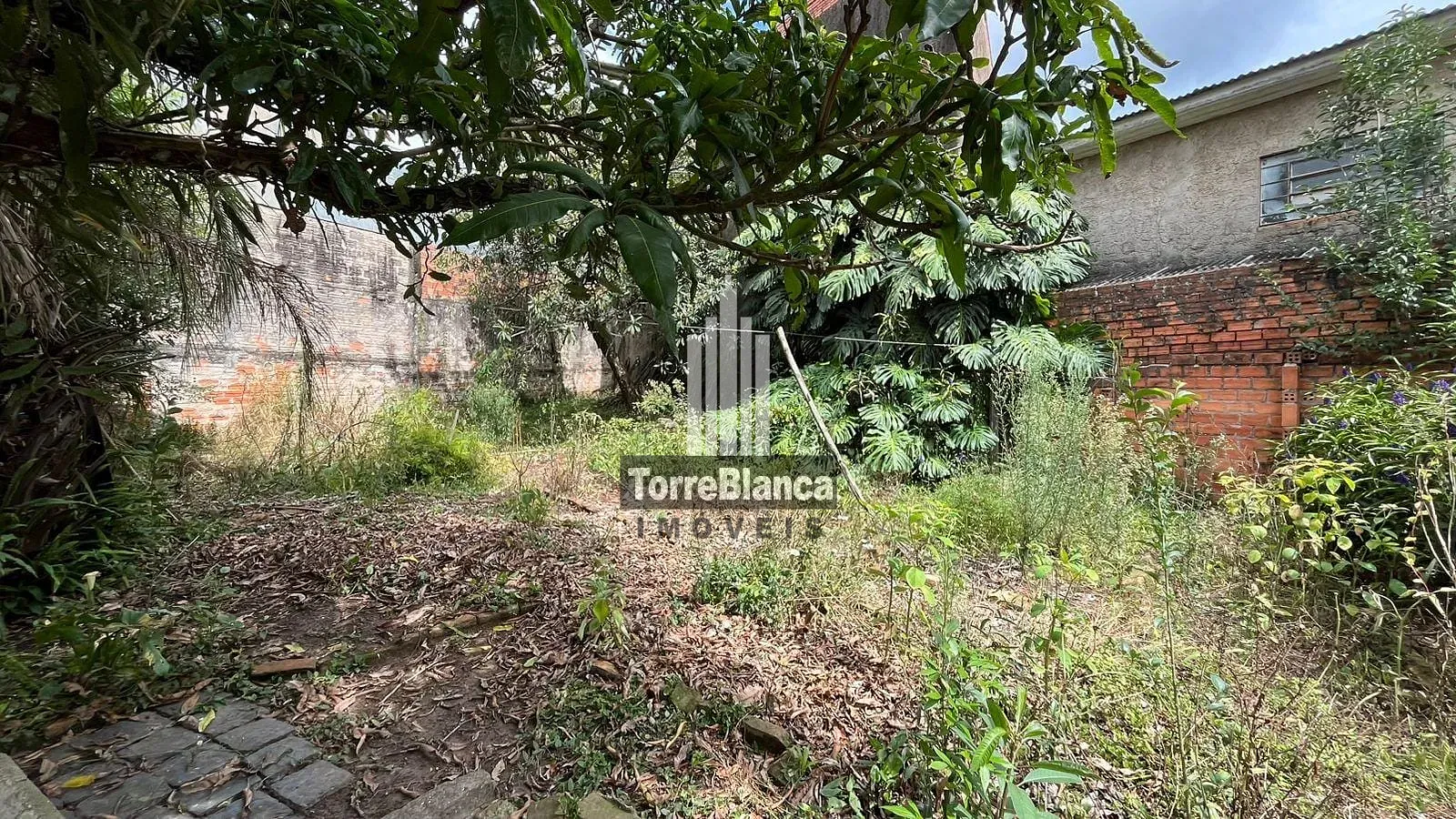 Casa, 3 quartos, 541 m² - Foto 8