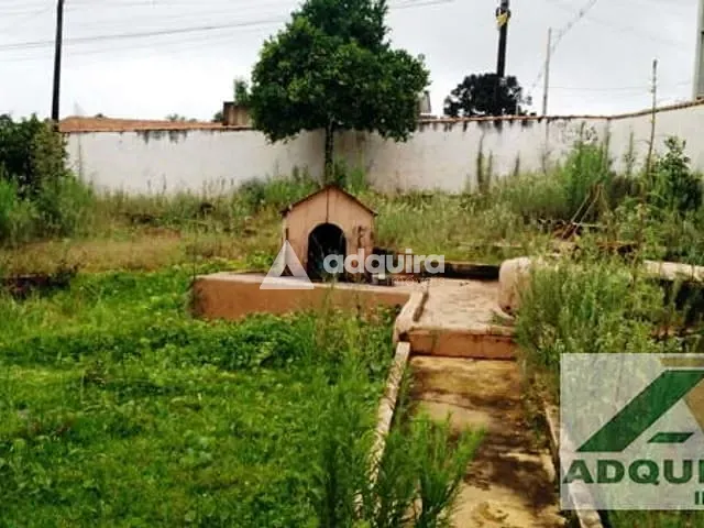 Casa com 462m² 1 quarto e 1 banheiro, à venda, no bairro Chapada em Ponta Grossa